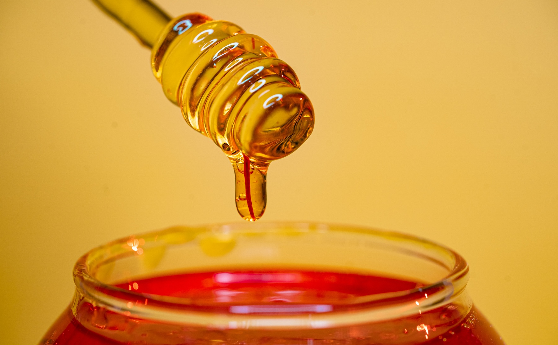 Wild Forest Honey, 500g